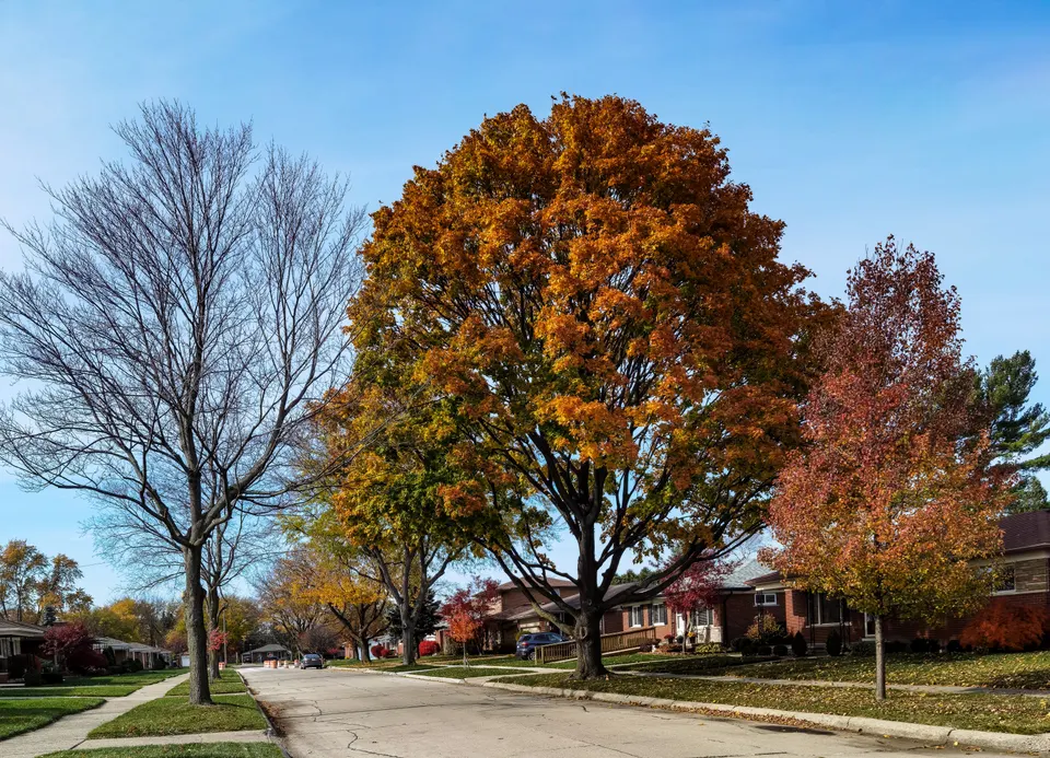 towing service Red Oak